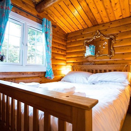 Woodpecker 3 Bedroom Trawsfyndd Holiday Village - Hosted By Seren Property Trawsfynydd Exteriör bild