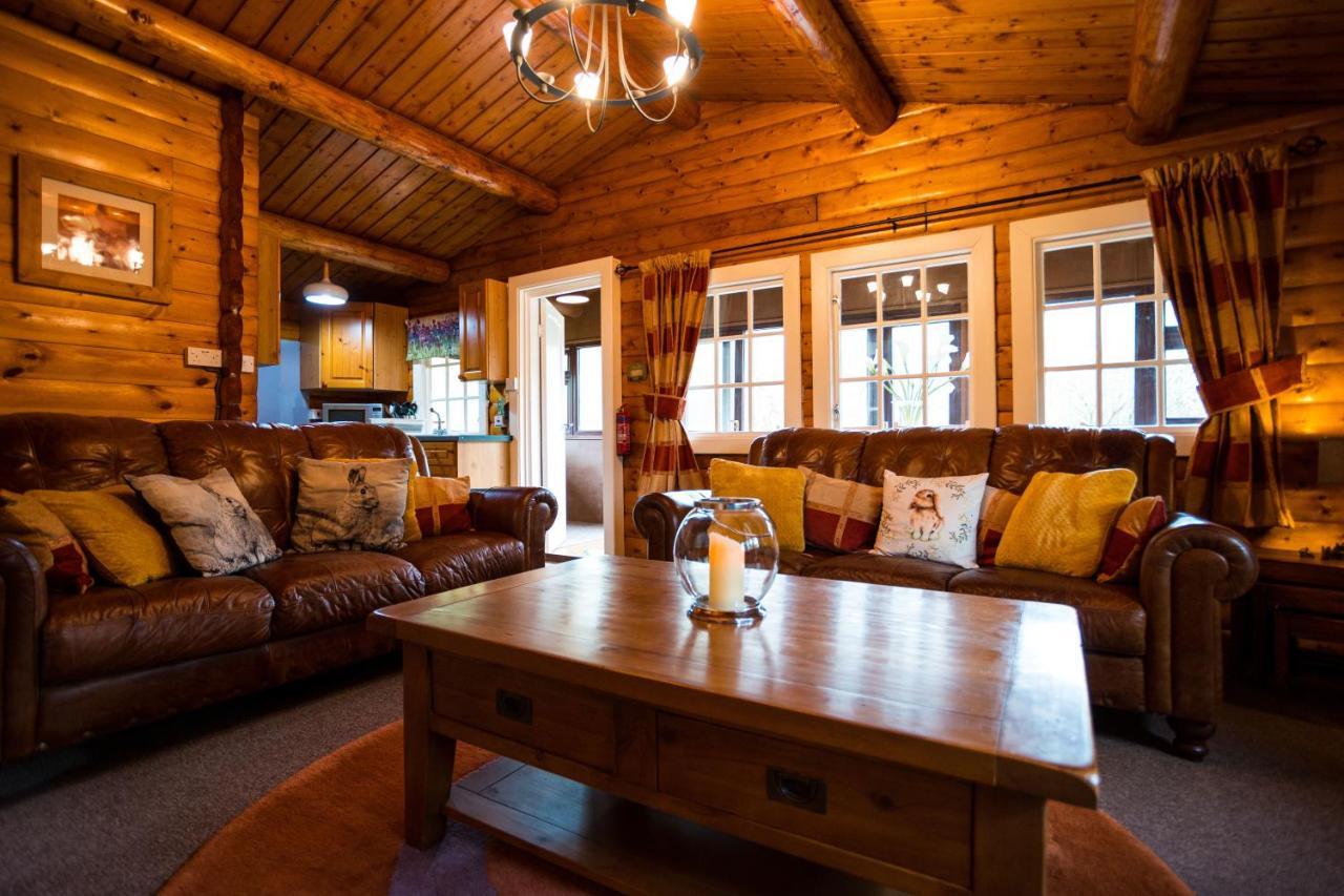 Woodpecker 3 Bedroom Trawsfyndd Holiday Village - Hosted By Seren Property Trawsfynydd Exteriör bild